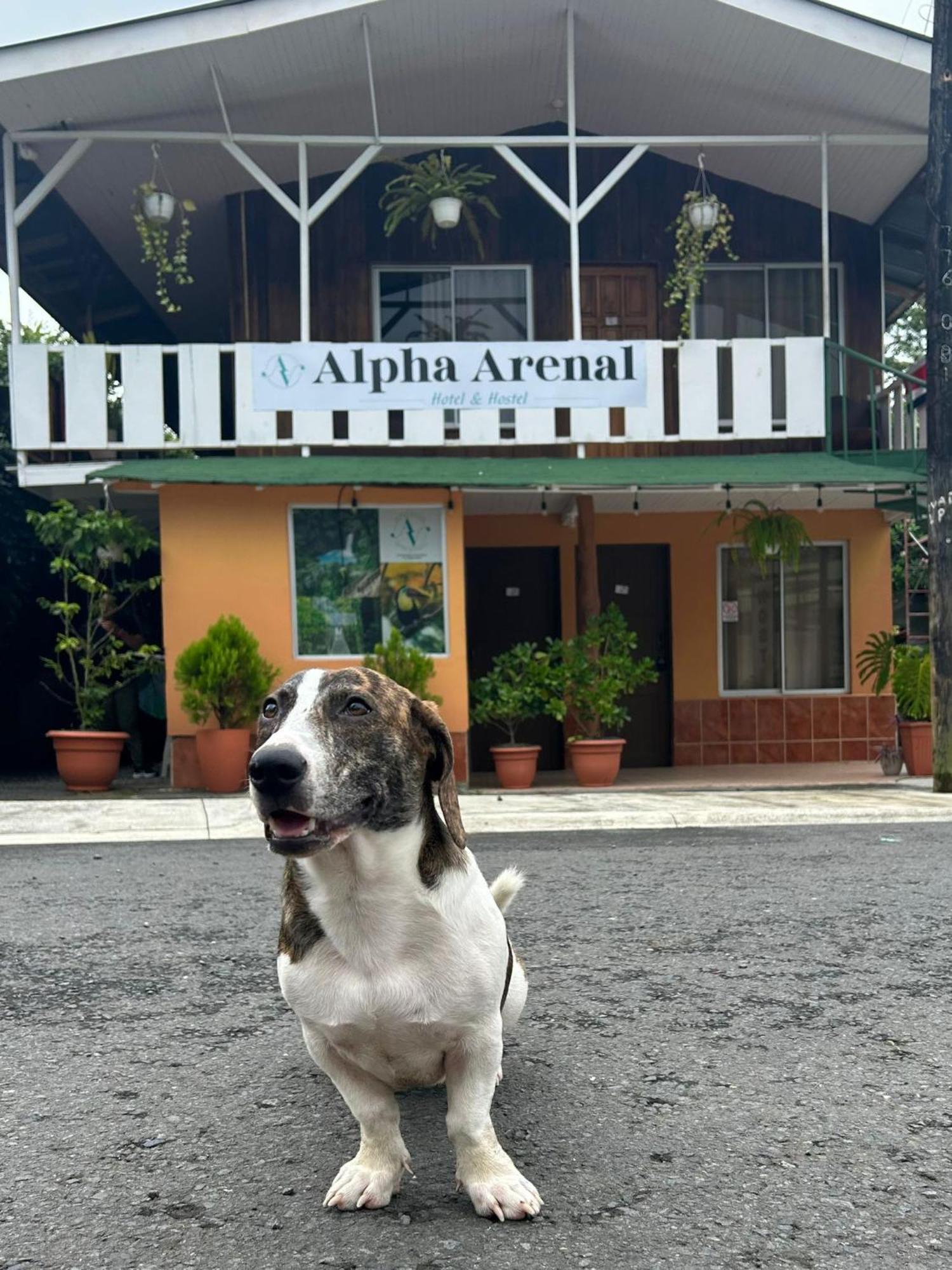 Albergue Alpha Arenal La Fortuna Exterior foto